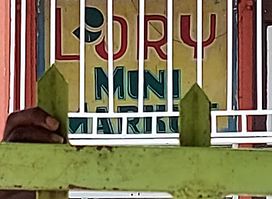 Lory Bar Resto