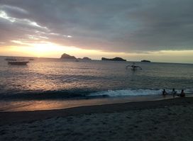 Dog's Offshore Bar