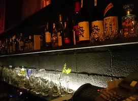 Bar Subterraneans