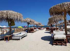Crazy Beach