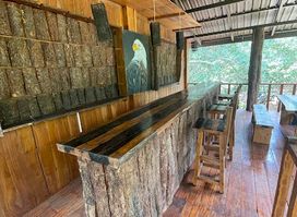 Eagles' Perch Driftwood Cabana