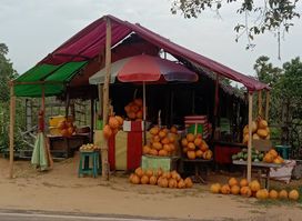King coconut fresh juice bar