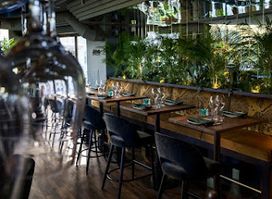 The Jungle Bar