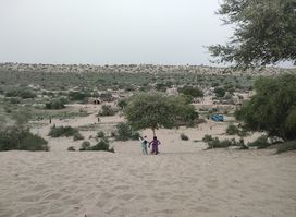 Almonries of Nooro Wali (لنگرخانه)