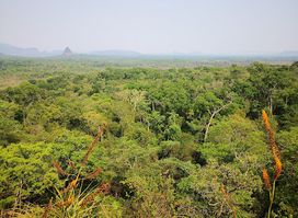Cerro Muralla, Parque Nacional Cerro Corá