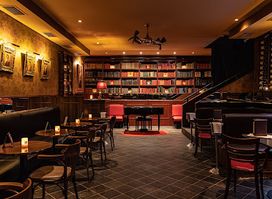 Manesova Bar and Books