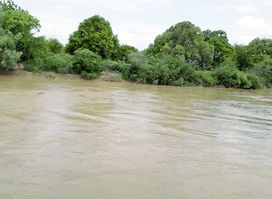 wadani xafada laab dheere