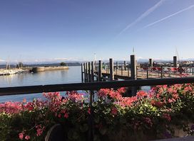 Bar du Lac