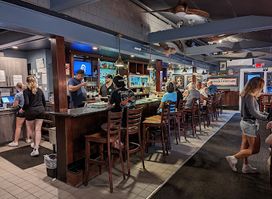 Lost Dog Pub Orleans