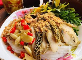 ត្រូពិច Tropical Family KTV