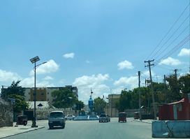 Sadaxda Geed
