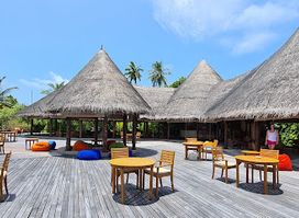Conch Bar