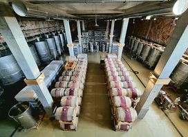 Van Ardi Winery