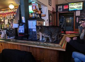 Ralph's Tavern