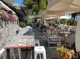 Xenia food cocktail cafe