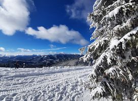 Панорама Найвища Точка Буковеля