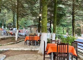 Bar Taverna Hibraj