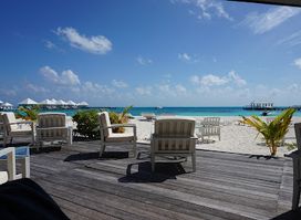 Beach Bar