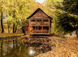 Voevodyno Resort