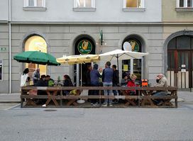 The Harp