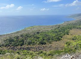 Margaret Knoll Lookout