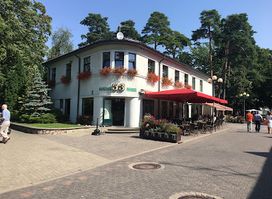 Cafe 53