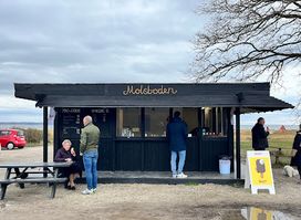 Molsboden