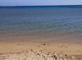 Beach Bar