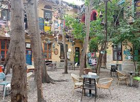 Grandio Jungle Bar