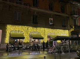 Malpighi 8