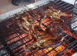 គាជា 2 ទាទឹកឃ្មុំ