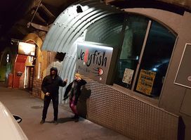 Jellyfish Music.Bar