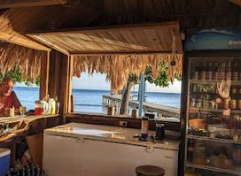 Blue Bayou Beach Bar