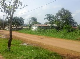 Bitam Airport