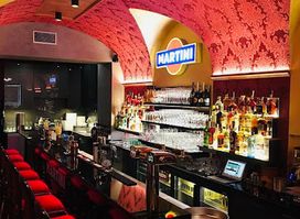 SHAKER - Martini & Coctail Bar
