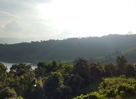 sweet home