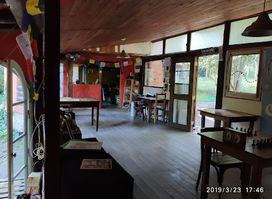 Casa en el Bosque