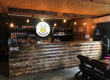 ukraine/prypiat-marshes/bar/pub-viking