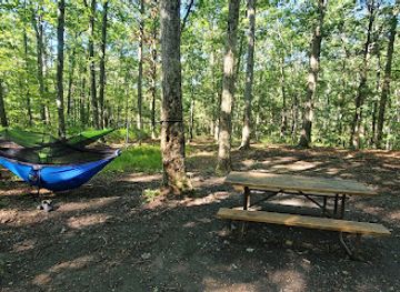 maryland/green-ridge-state-forest/bar/green-ridge-state-forest-campsite-17