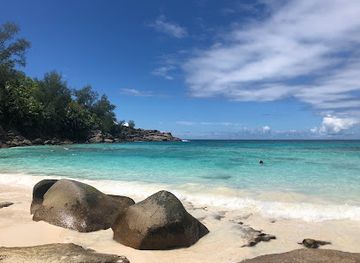 seychelles/ile-de-l-est/bar/summer-bar