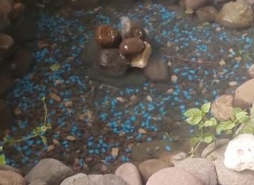 jamaica/middlesex-county/bar/love-zone-sports-bar-grill