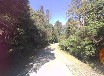 india/chopta/bar/hill-top-heaven-tourist-lodge-restaurant