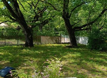 georgia/racha-lechkhumi-and-kvemo-svaneti/bar/baruka