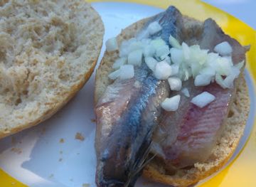 netherlands/zeeland/bar/duinerve-de-loods