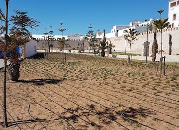 morocco/essaouira/bar/bar-orson-welles