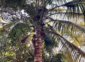 mali/bamako-district/bar/no-limit