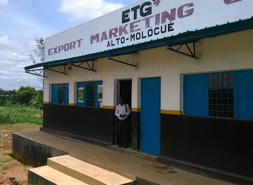 mozambique/zambezia-province/bar/bar-trionfo