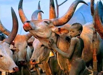 ethiopia/gambela-region/bar/eyasu-cafe-breakfast