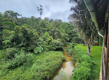 madagascar/andasibe-mantadia-national-park/bar/reserve-speciale-d-analamazoatra