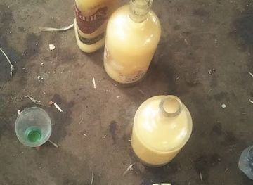 malawi/majete-wildlife-reserve/bar/make-mnthunzi-wine-store